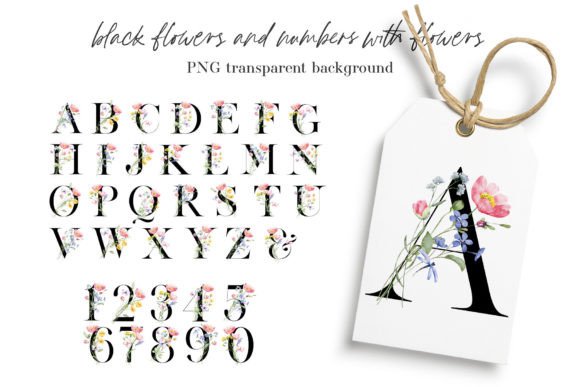 Alphabet, Letters and Numbers, Flowers: A Designer’s Review for Brand Visuals