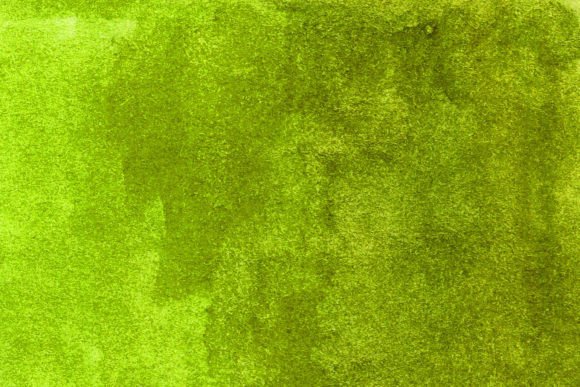 Bright Green Watercolor Background for Digital Backgrounds