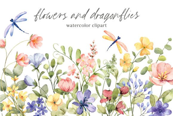Flowers and Dragonflies: A Designer’s Real-World Review