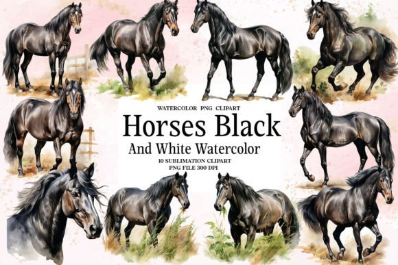 Reviewing Horses Black and White Sublimation Illustrations for Digital Product Sellers