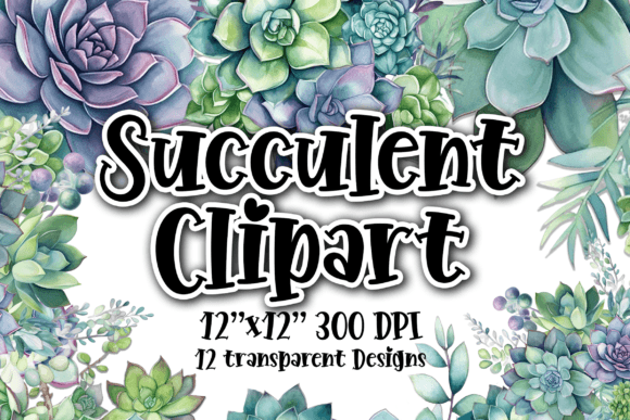 Succulents Clipart 10 Transparent PNGs: A Brand Designer’s Review for Local Business Branding & Packaging