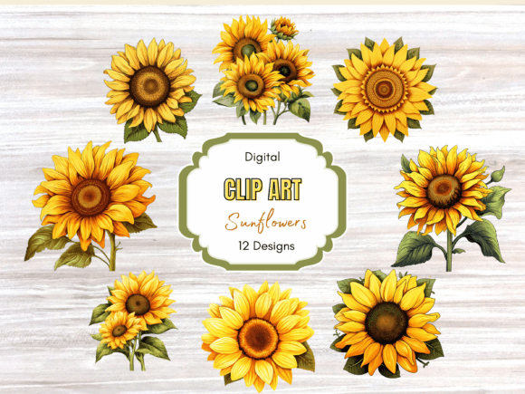 Sunflower Autumn Flower Clip Art: A Designer’s Real-World Review