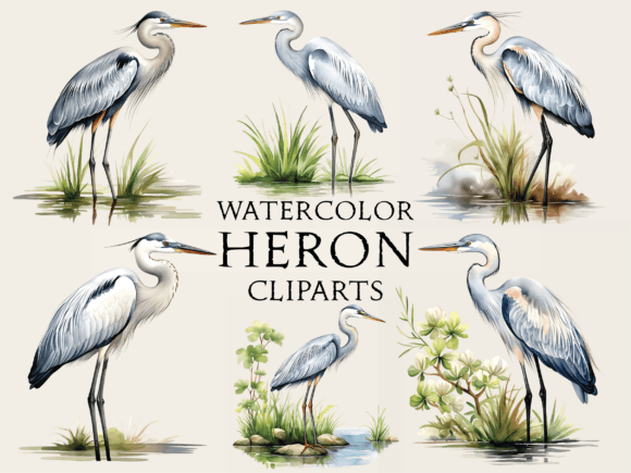 Watercolor Heron Cliparts for Crafts Branding